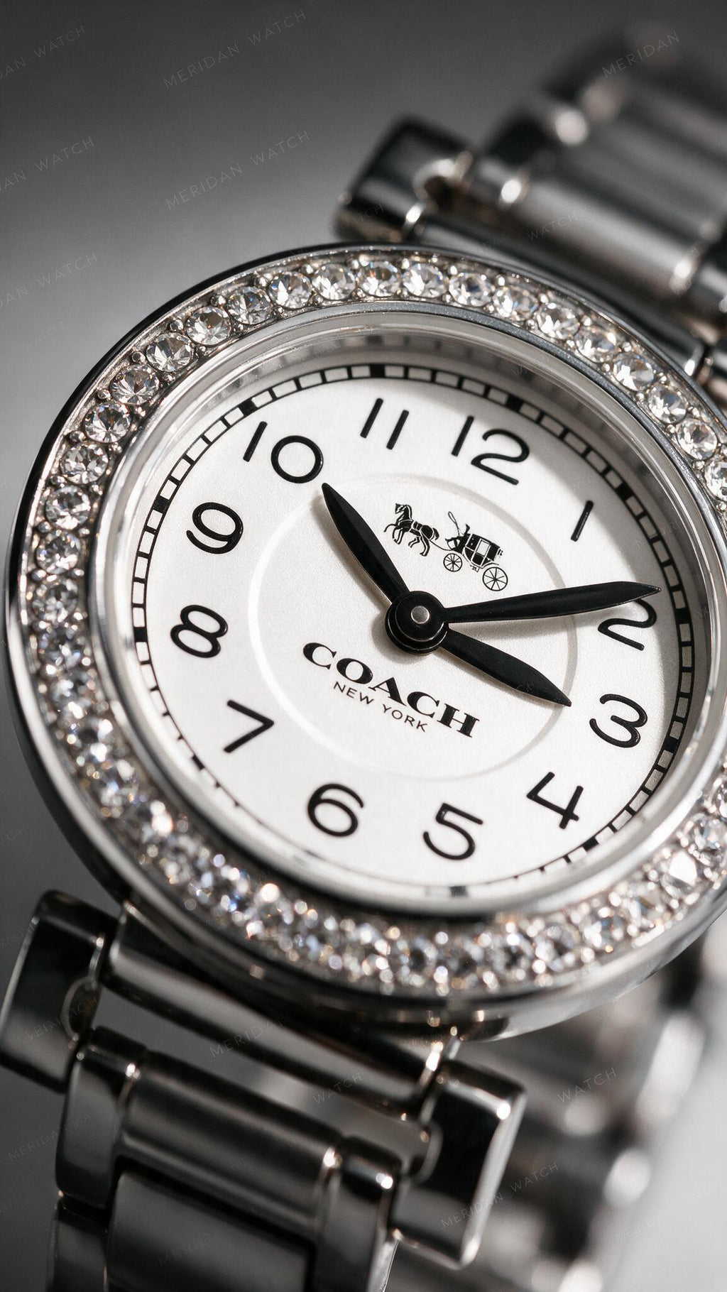 Reloj Coach Madison Diamantes Plateado 23mm | Mujer