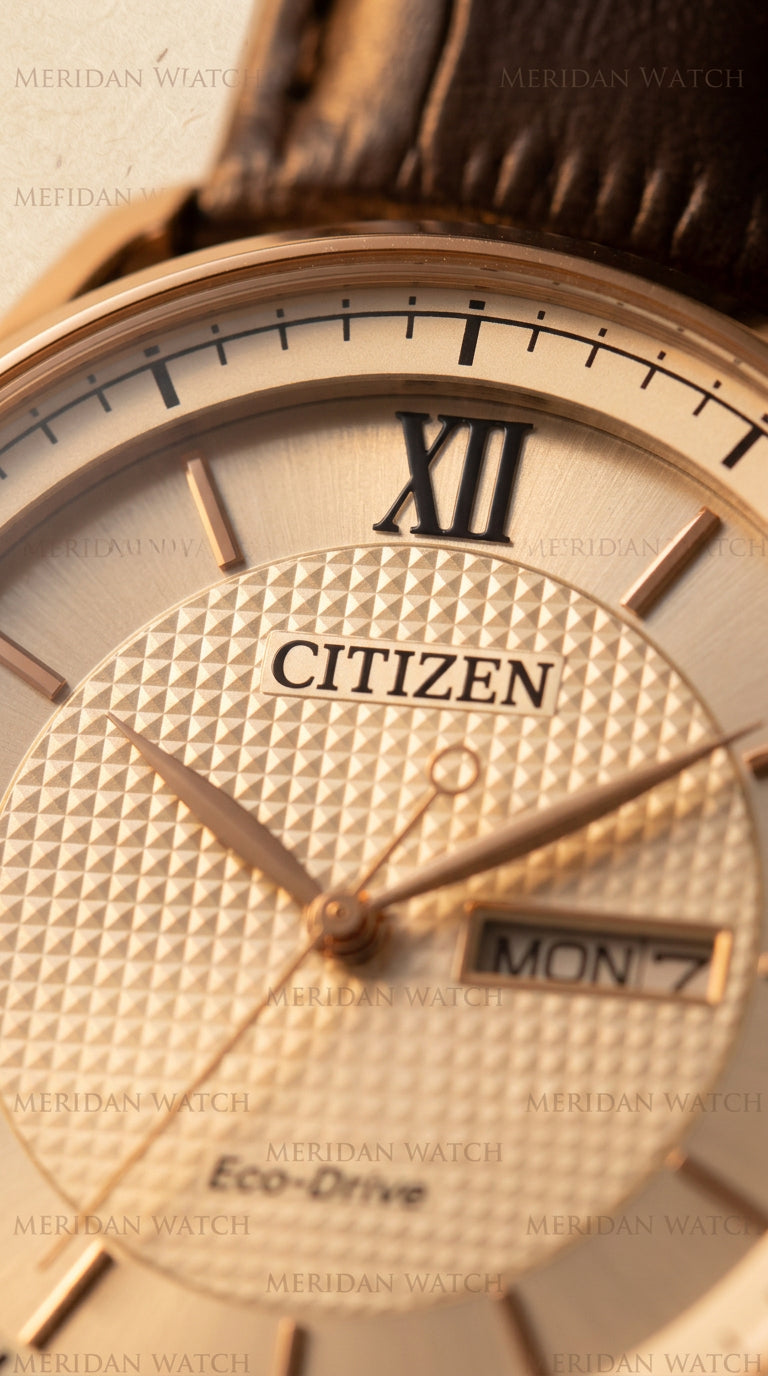 Reloj Citizen Eco-Drive AW0082-01A Marfil Oro Rosa Cuero | Hombre