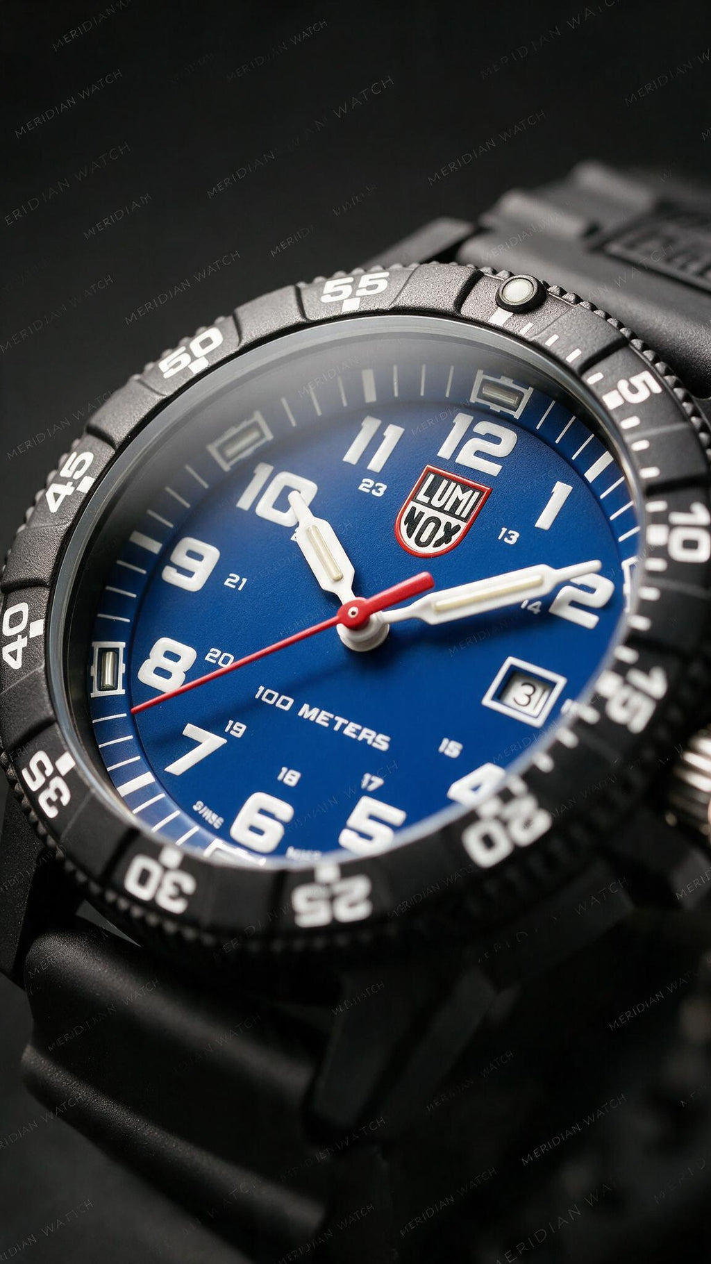 Reloj Luminox Sea Turtle Giant Azul Negro 44mm | Hombre